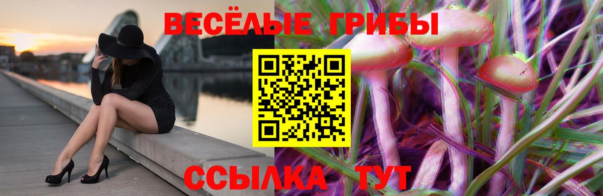 Псилоцибиновые грибы Cubensis  Галлюциногенные грибы MAGIC MUSHROOMS  Вход с VPN  Псков 